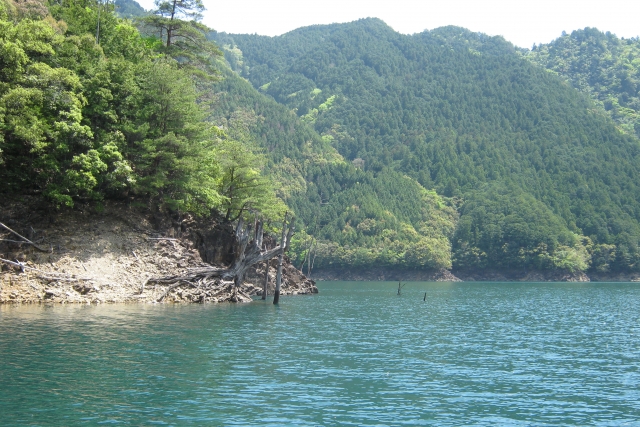 おすすめ釣り場！湖・ダム・渓流など【奈良県】